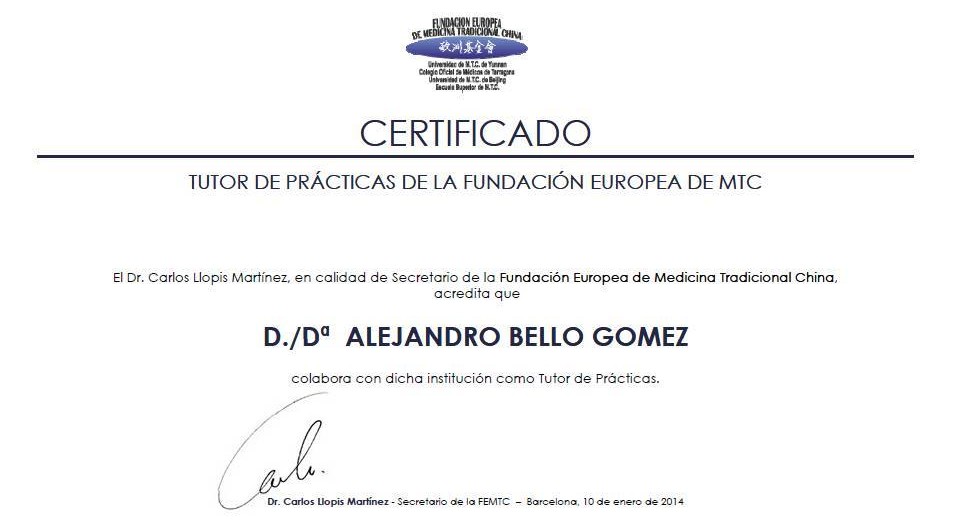 certificado de la fundación europea de MTC foto
